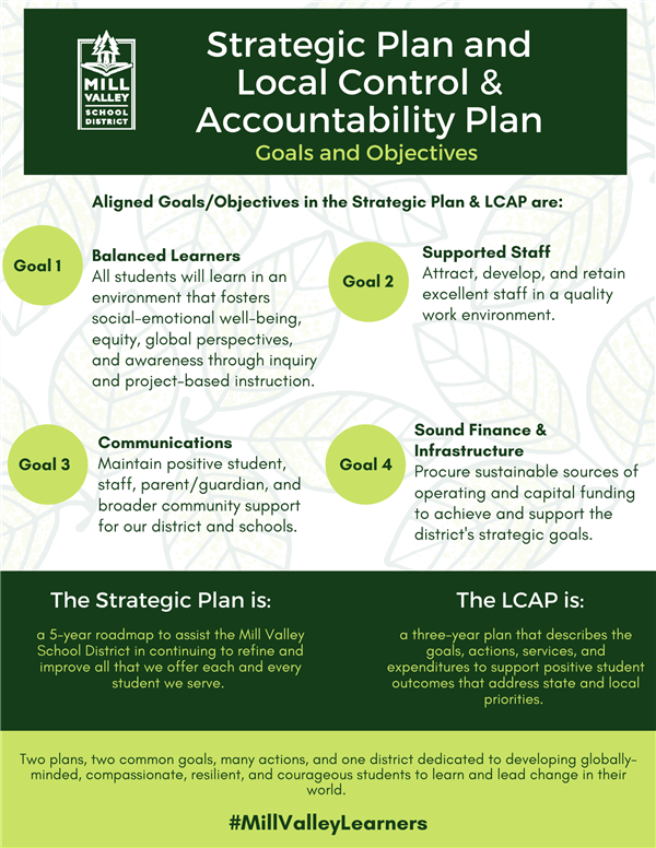  LCAP Infographic